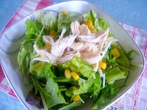 ボリューム満点　ヘルシー蒸し鶏の野菜サラダ